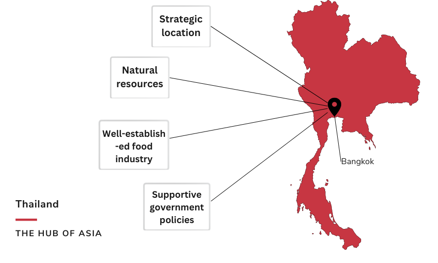 Fi Asia Thailand (Fi Asia 2023) The most important route to the